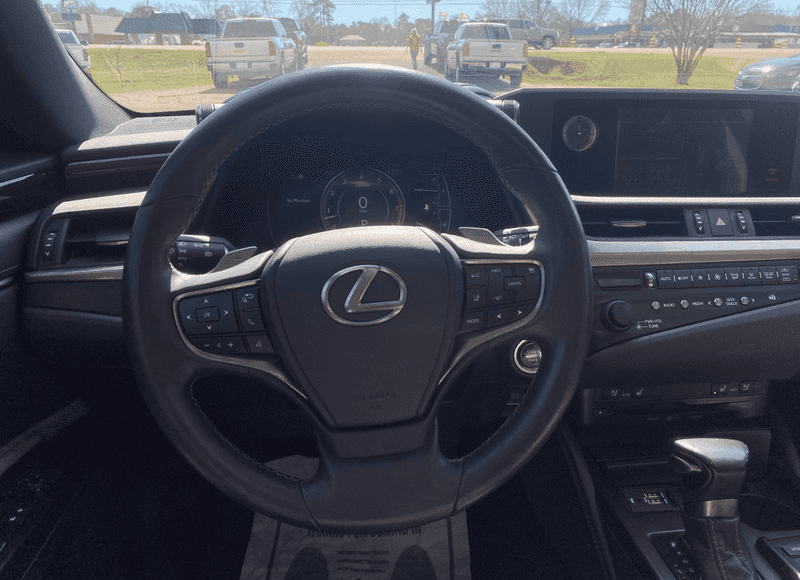 2019 Lexus ES 350 photo 10