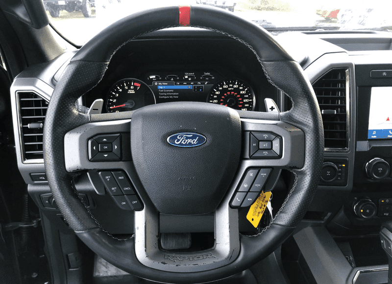 2020 Ford F-150 Raptor photo 10